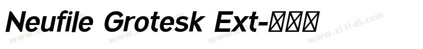 Neufile Grotesk Ext字体转换